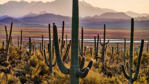Biggest Mistakes Tourists Make at National Parks (And How to Avoid Them)