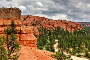 12 National Park and National Forest Combinations You Need on Your Bucket List