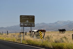The Best Lesser-Known Scenic Drives in Nevada for Incredible Views