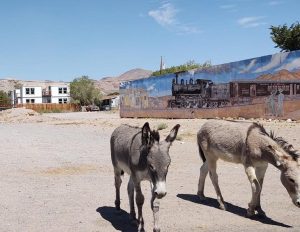 Nevada’s Most Beautiful Small Towns for Scenic Views and Outdoor Adventures