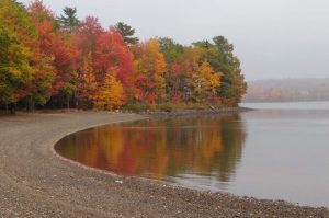 Best Fall Road Trips in the USA: Scenic Drives to See Autumn Foliage