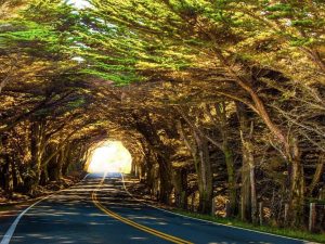 Magical Road Trips: The Best Drive-Through Tunnels in the U.S.