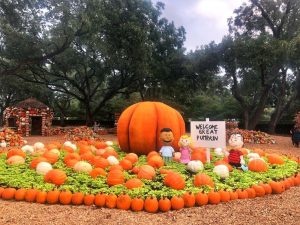 15 Fun Fall Activities for the Whole Family